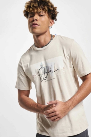 Jack & Jones Erkek Jorjoshua Baskı Detaylı Bisiklet Yaka T-Shirt 12228257 Taş Taş